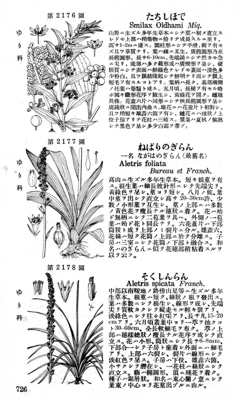 植物図鑑