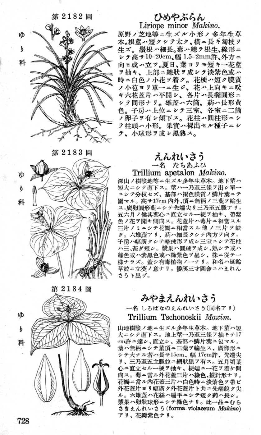 植物図鑑