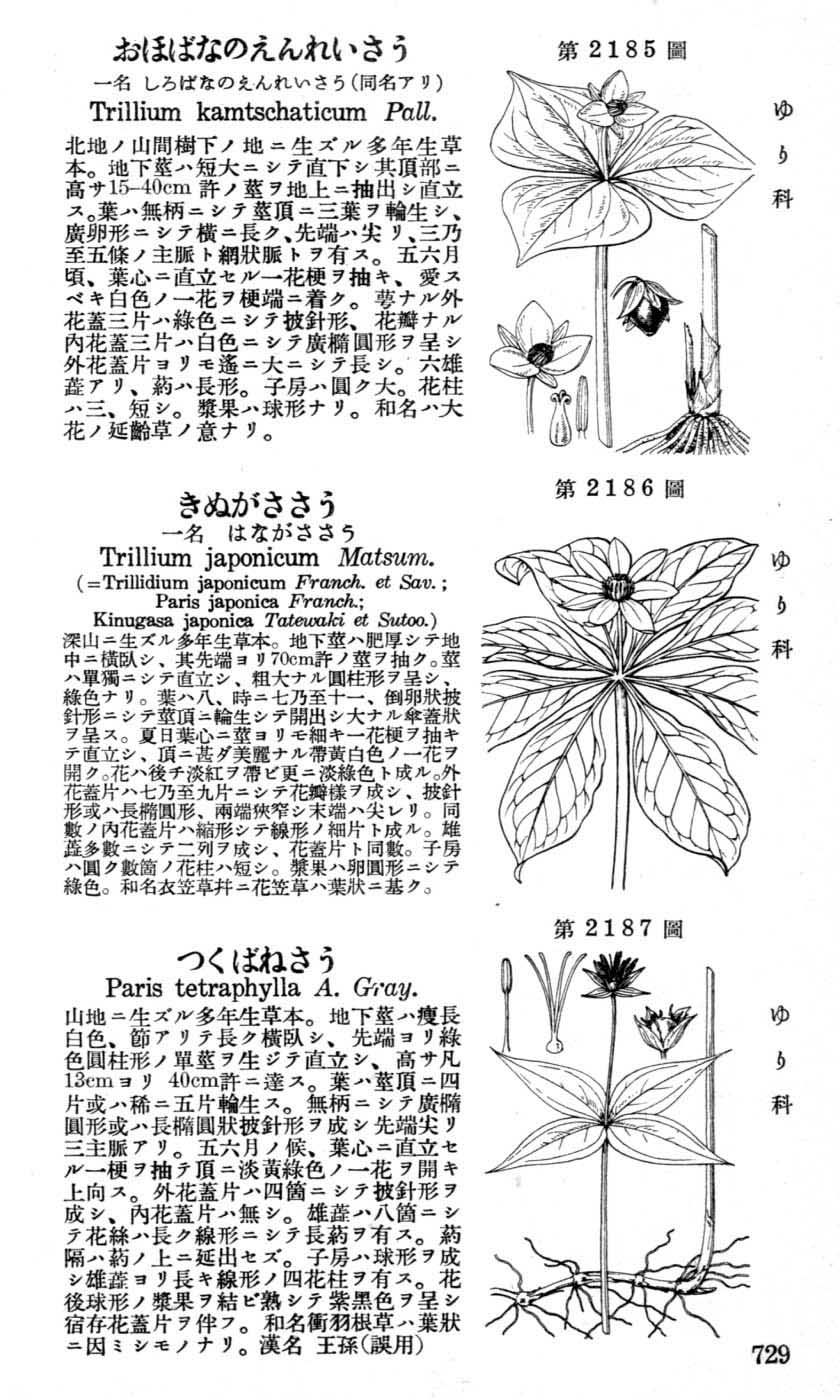 植物図鑑