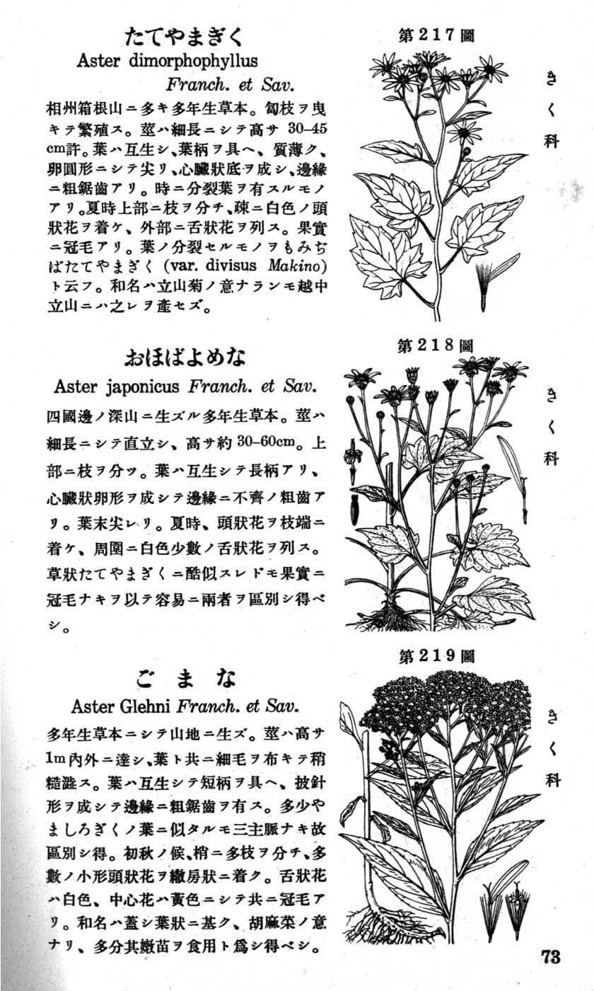 植物図鑑