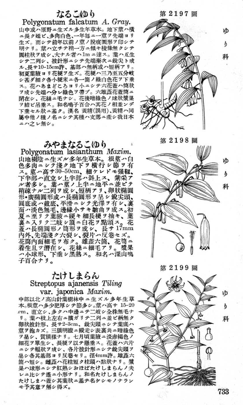 植物図鑑