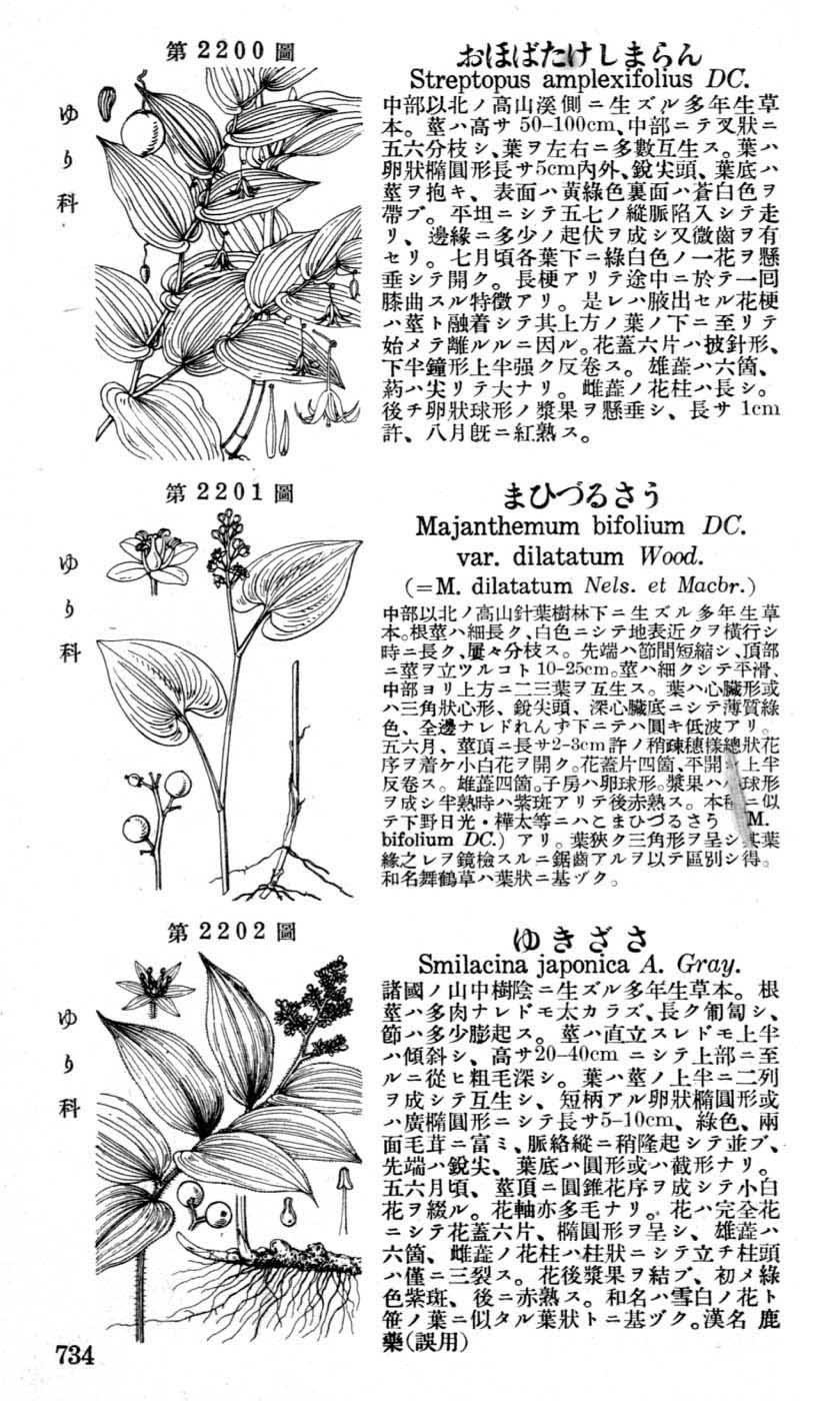 植物図鑑