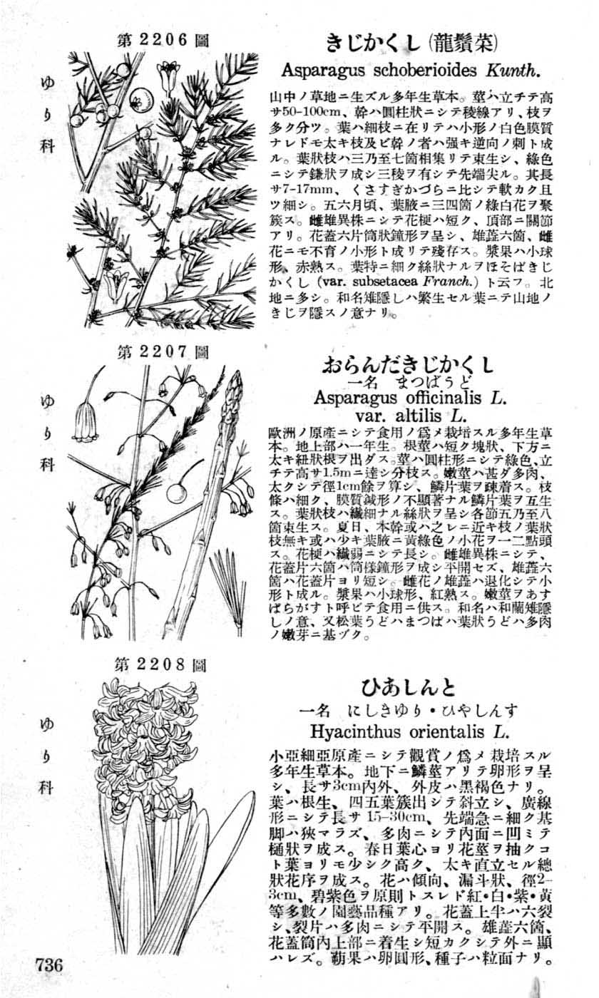 植物図鑑