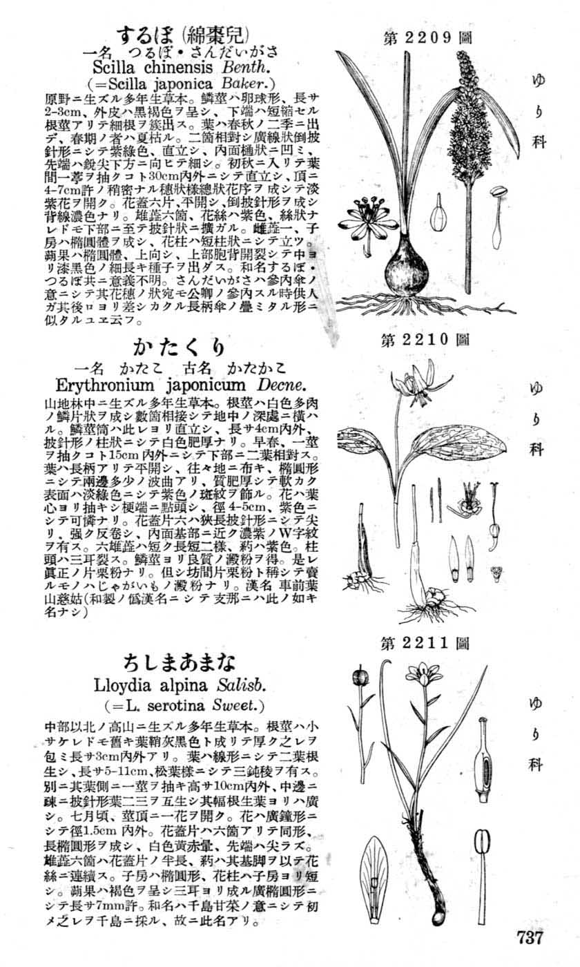 植物図鑑