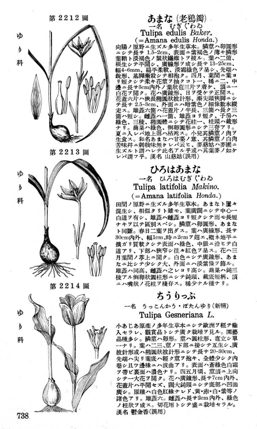 植物図鑑