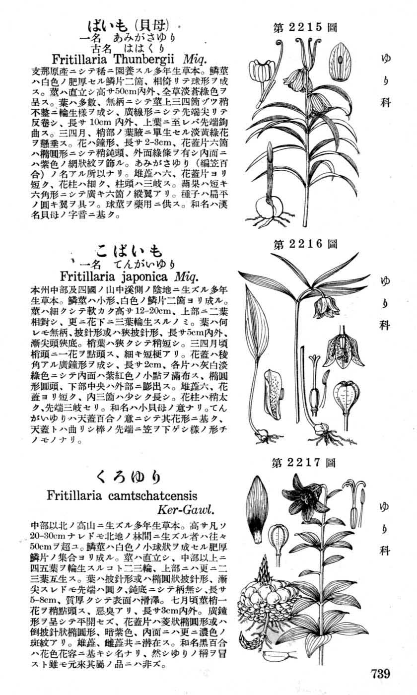 植物図鑑