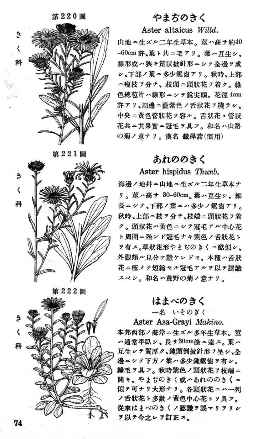 植物図鑑