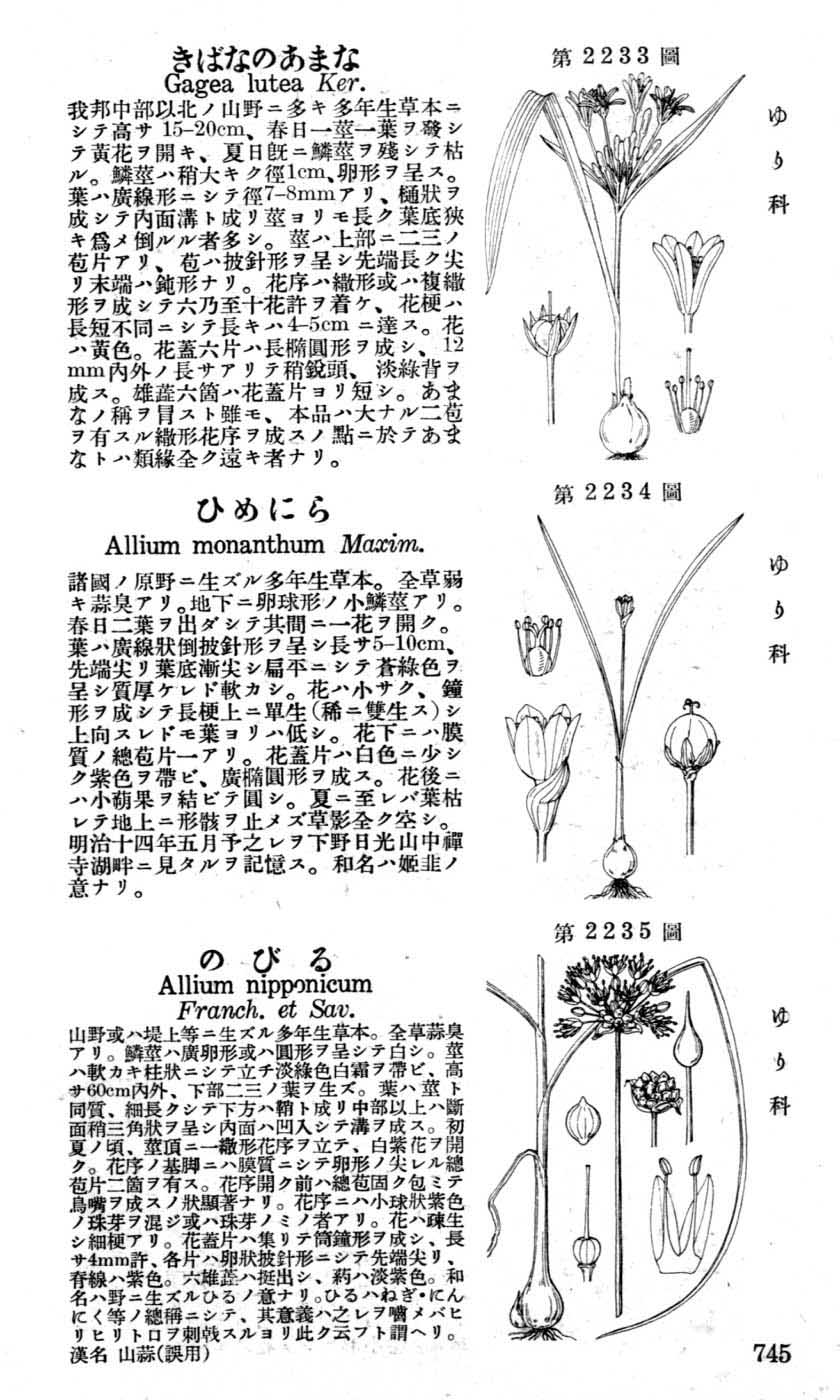 植物図鑑