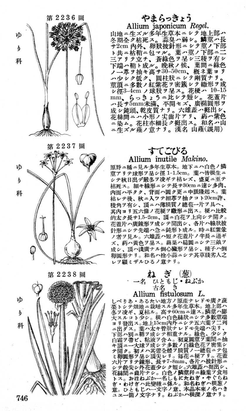 植物図鑑