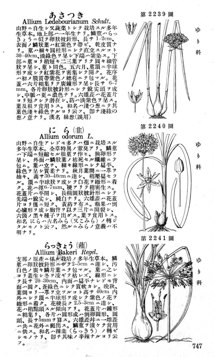 植物図鑑