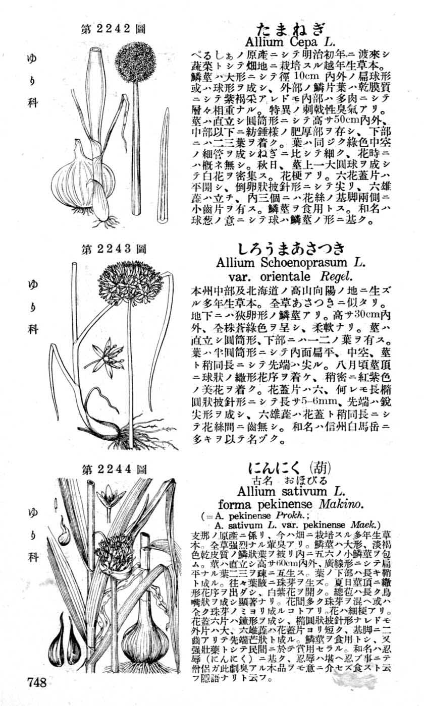 植物図鑑