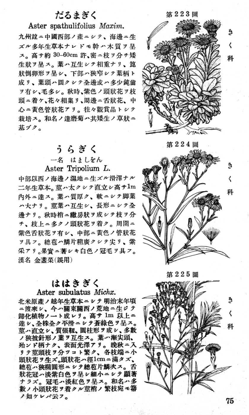 植物図鑑