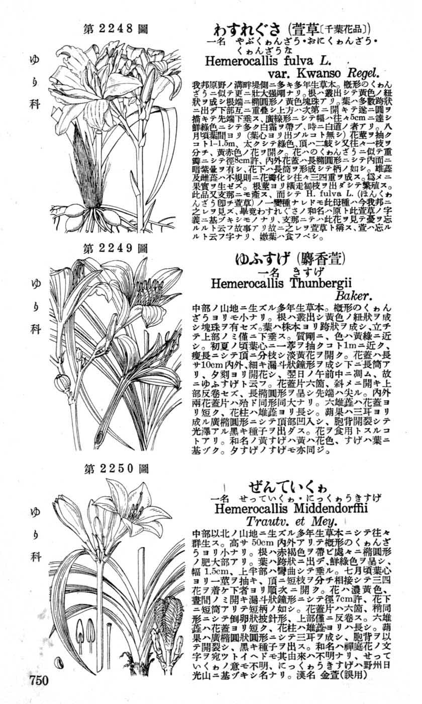 植物図鑑