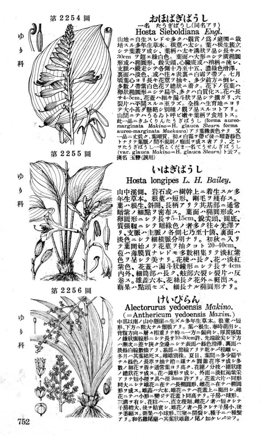 植物図鑑