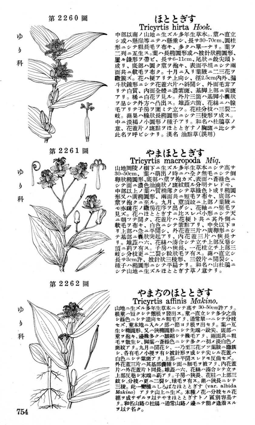 植物図鑑