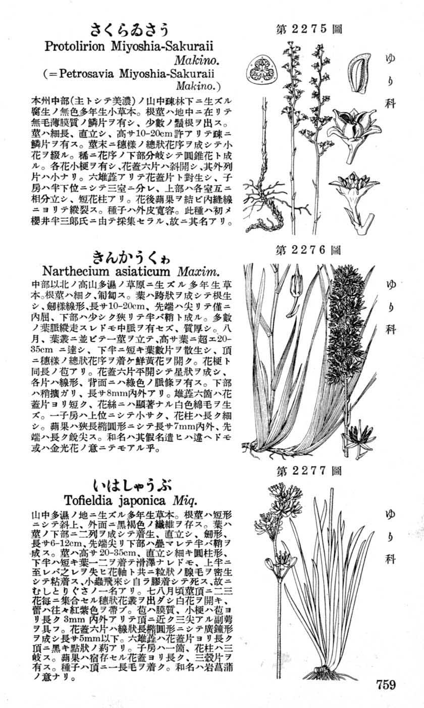 植物図鑑