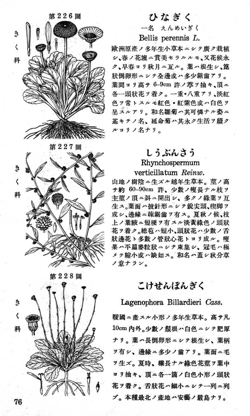 植物図鑑
