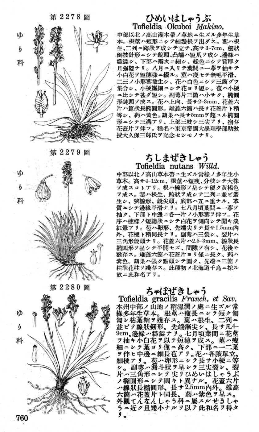 植物図鑑