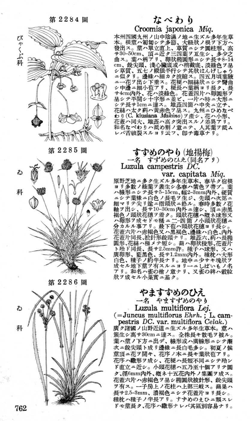 植物図鑑