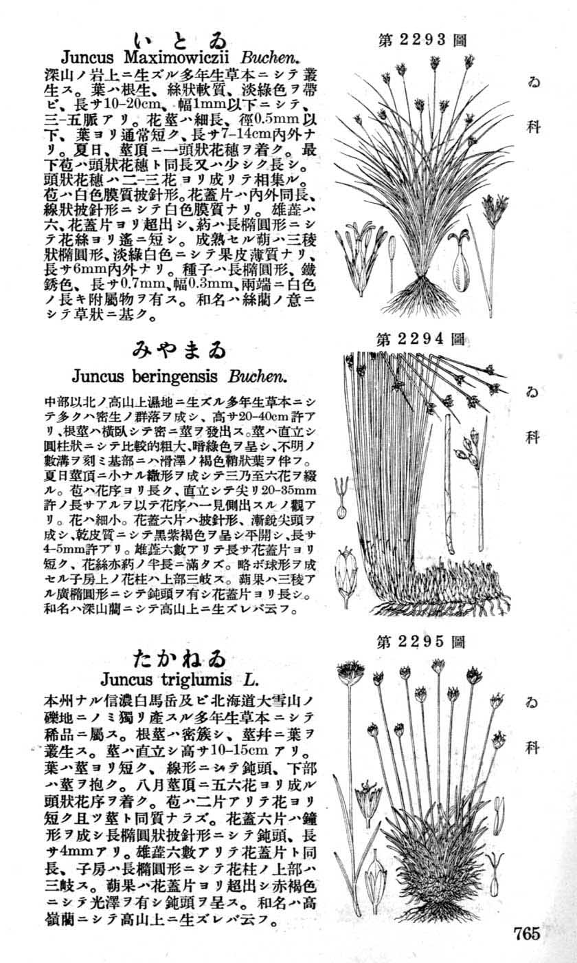 植物図鑑