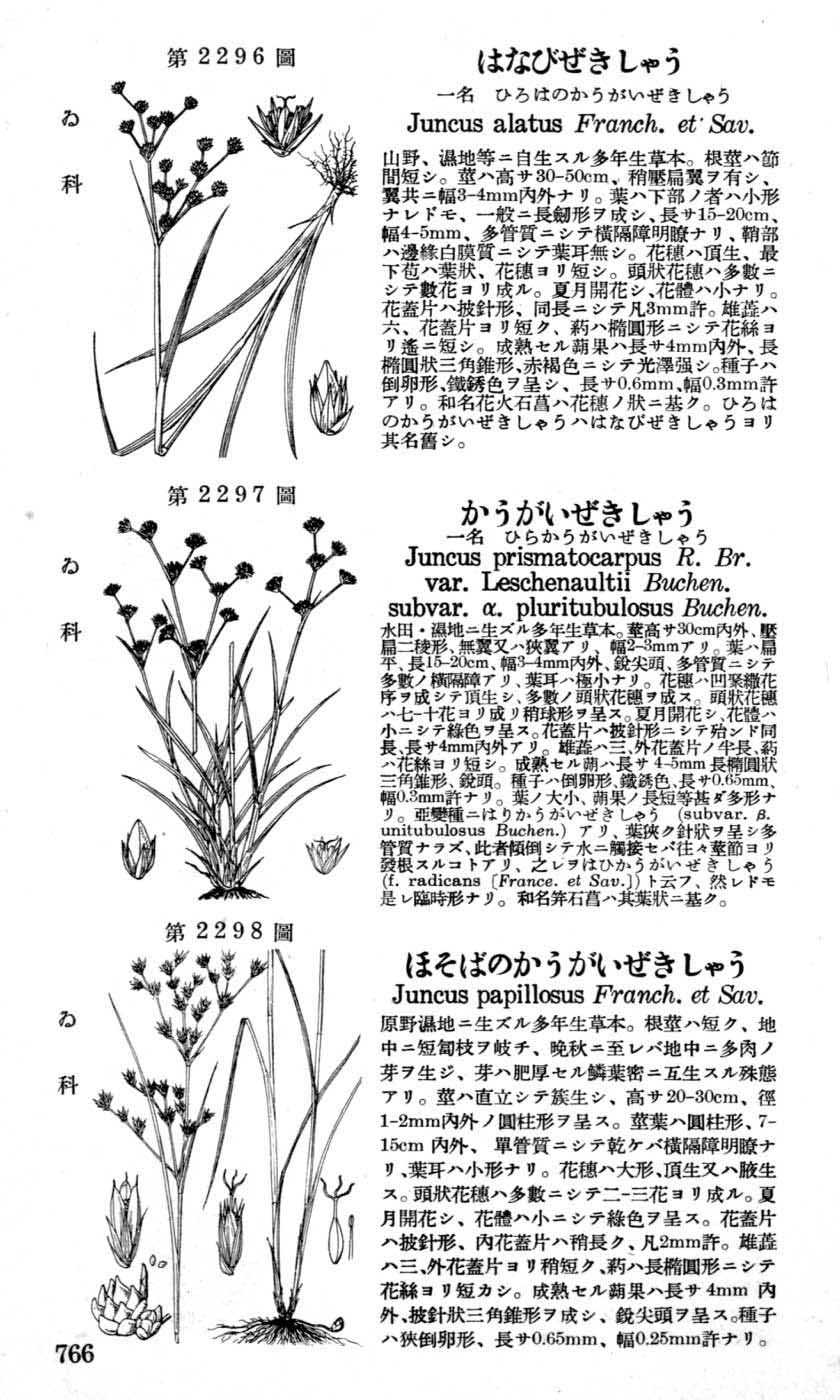 植物図鑑