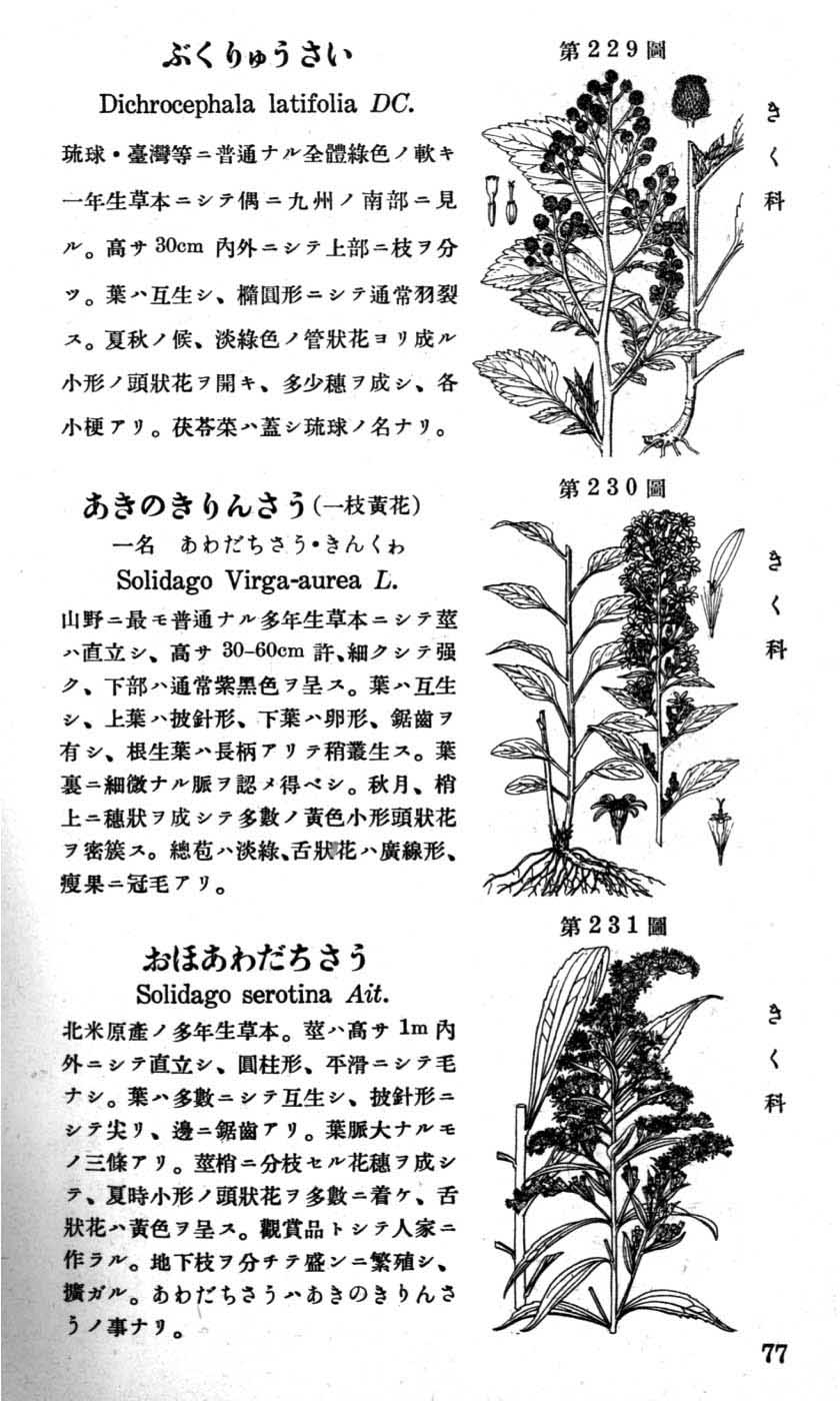 植物図鑑
