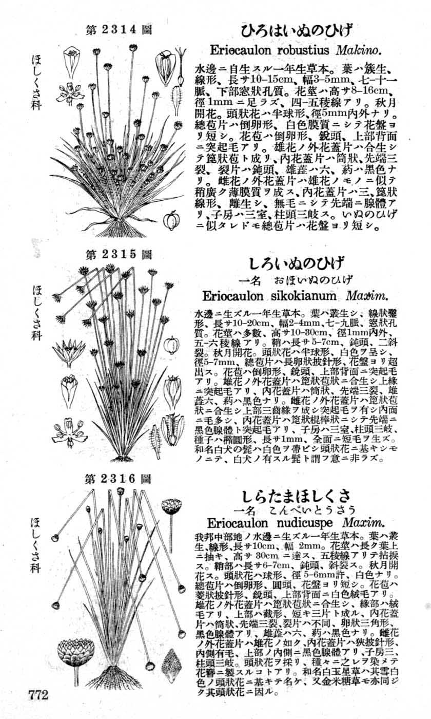 植物図鑑