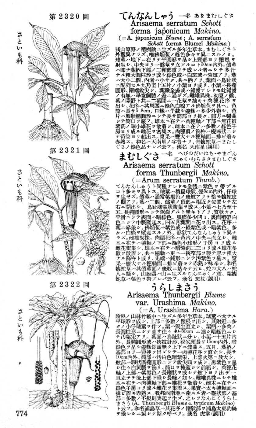 植物図鑑