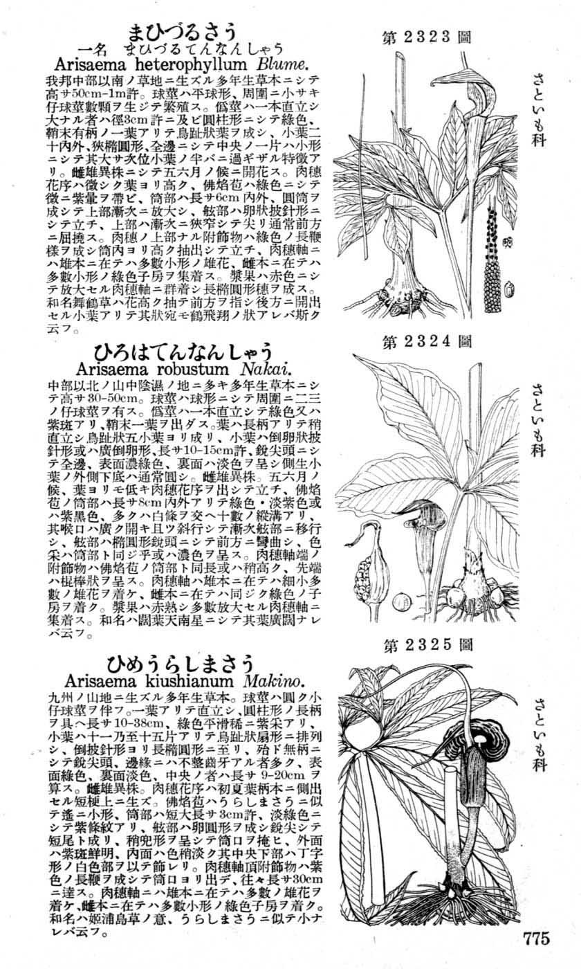 植物図鑑