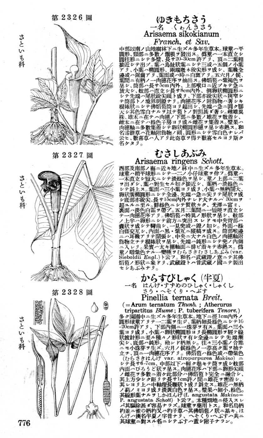 植物図鑑