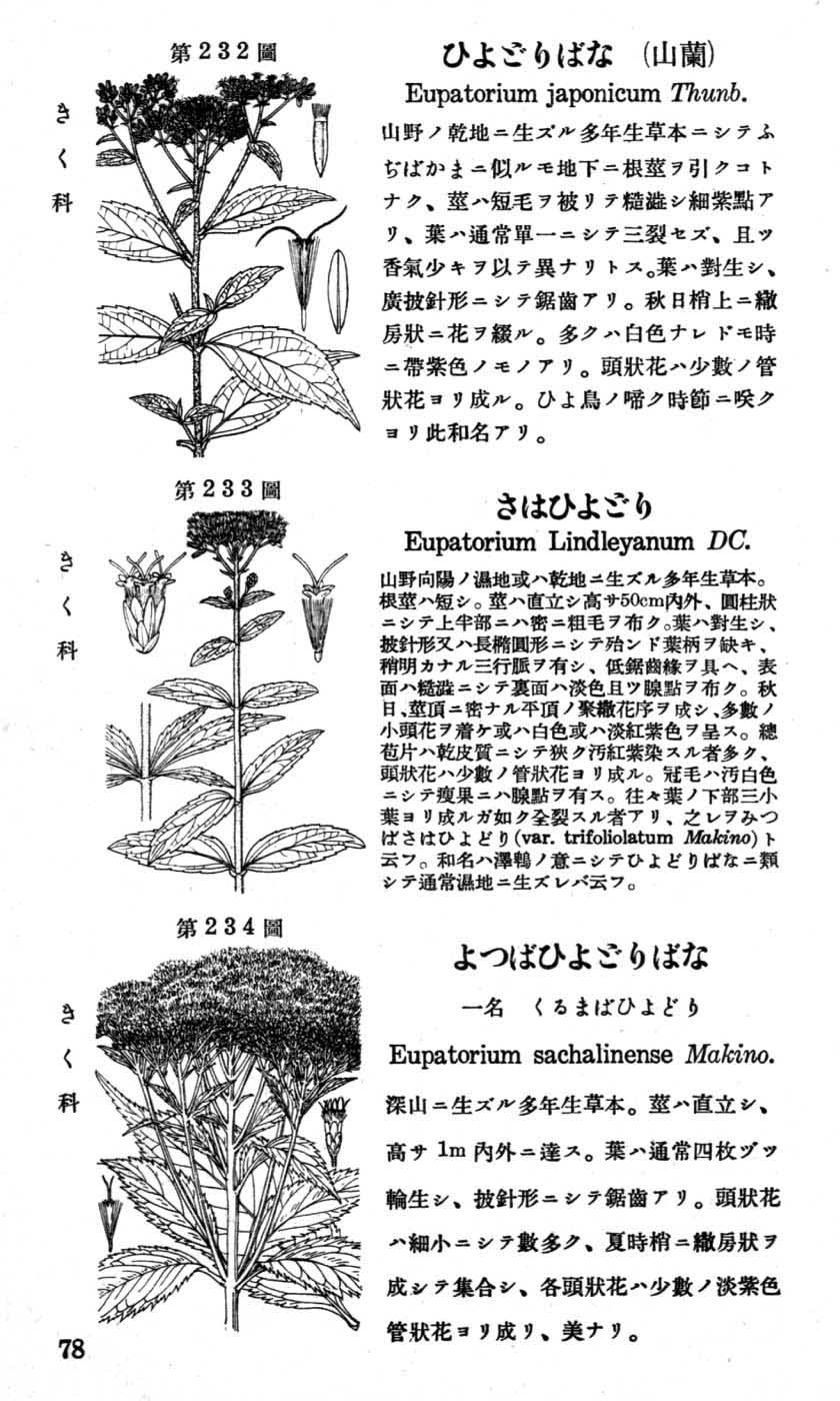 植物図鑑