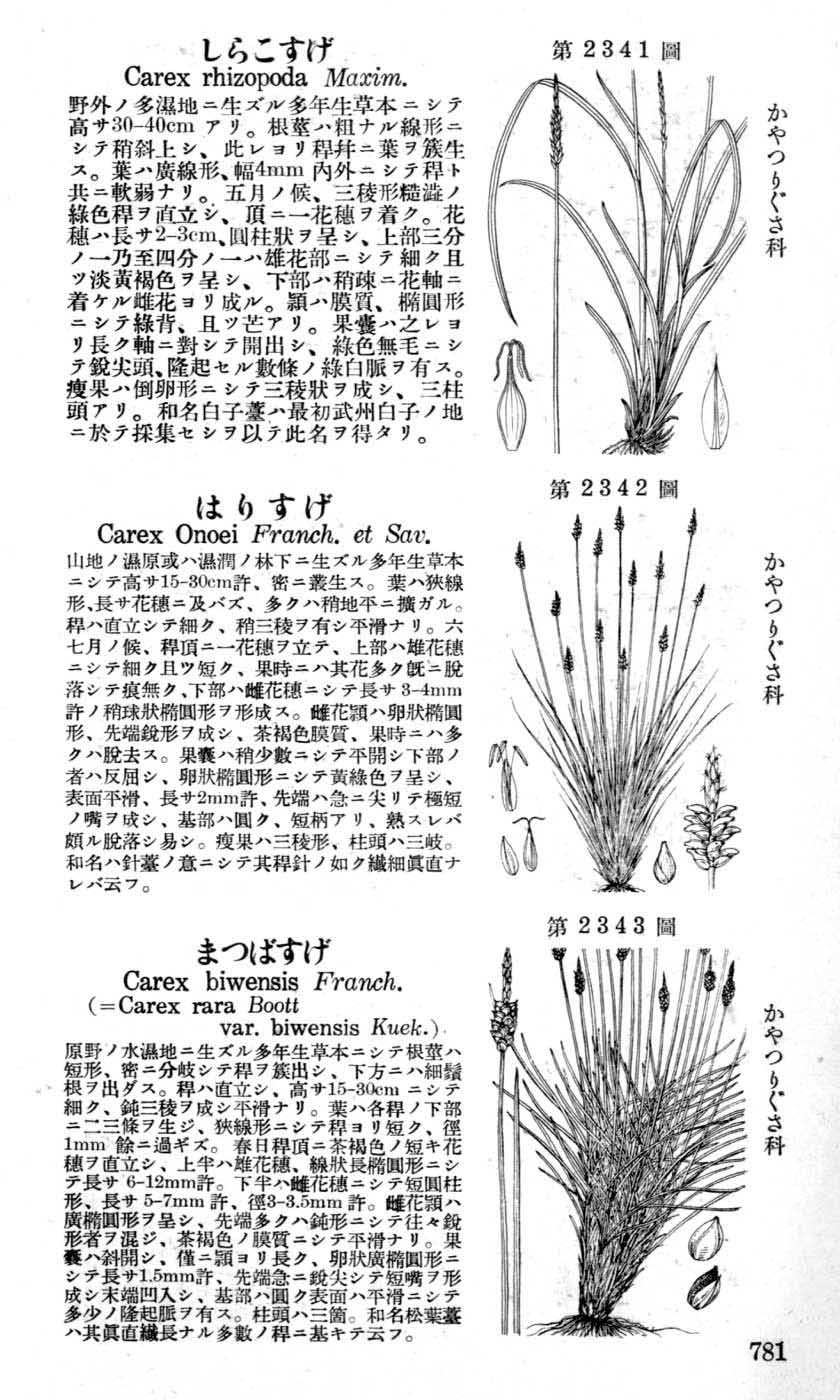 植物図鑑