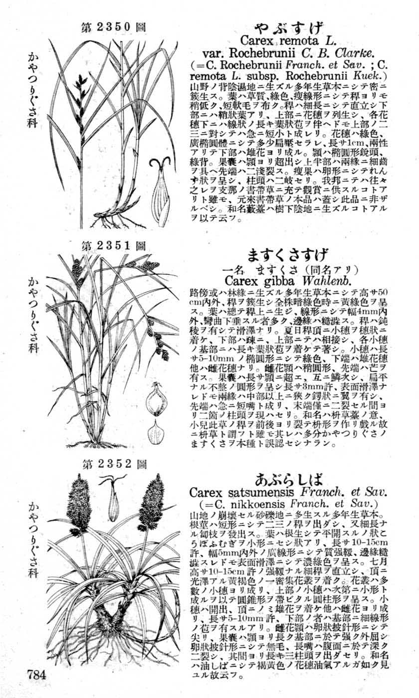 植物図鑑