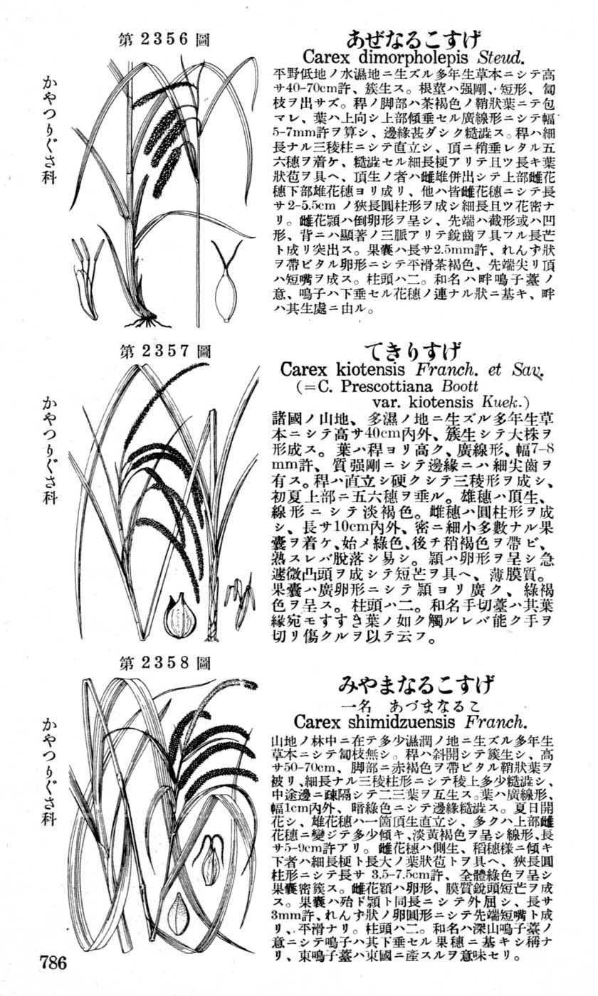 植物図鑑