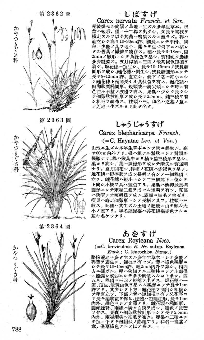 植物図鑑