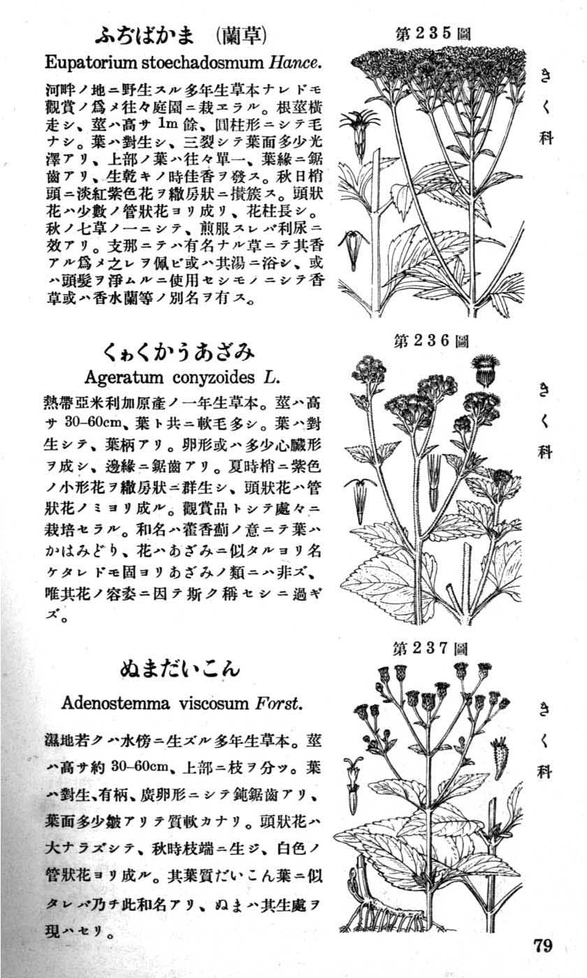 植物図鑑