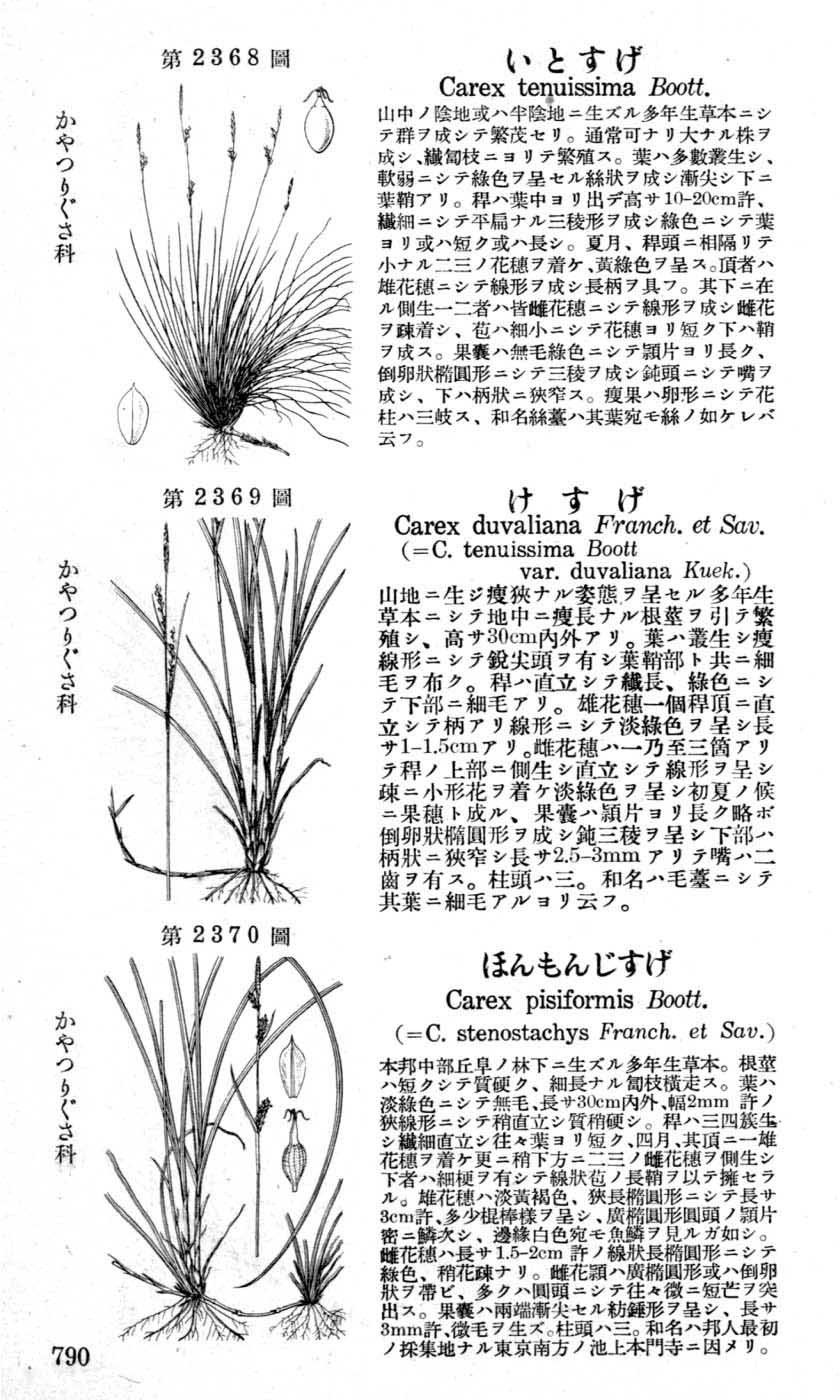 植物図鑑