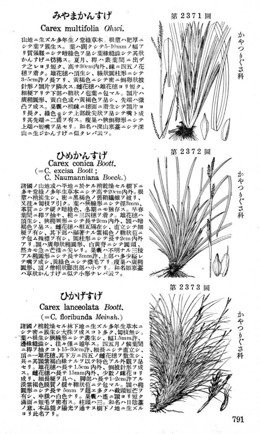 植物図鑑