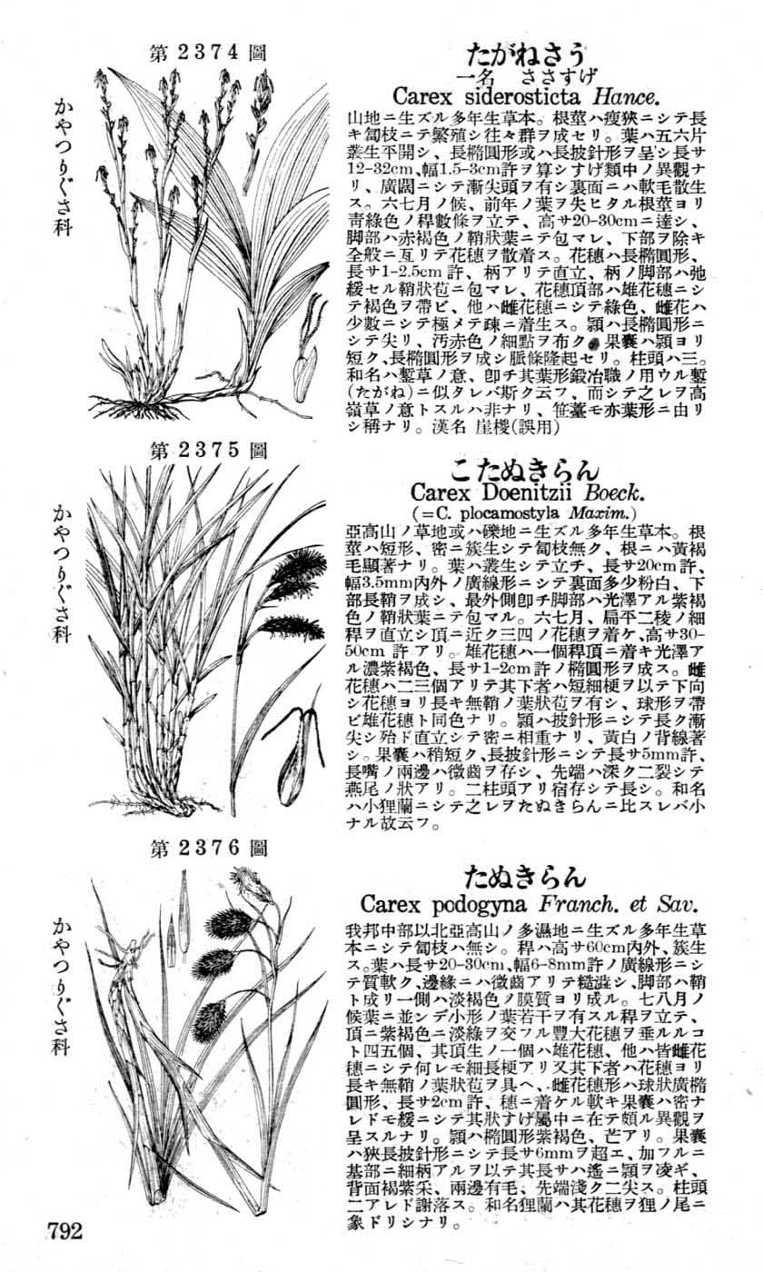 植物図鑑