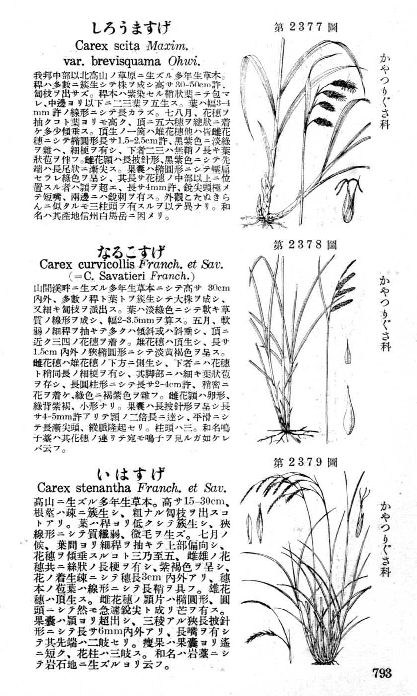 植物図鑑