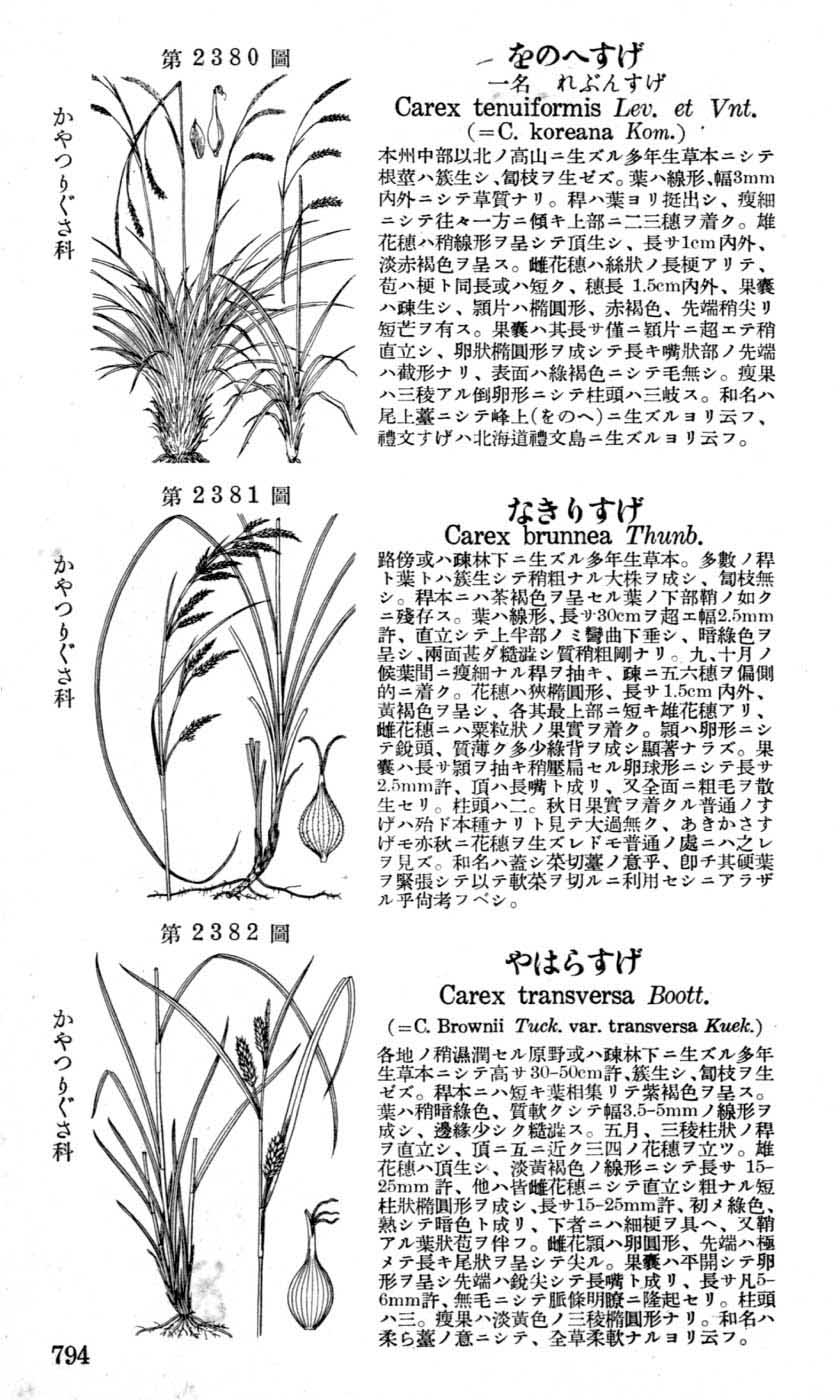 植物図鑑