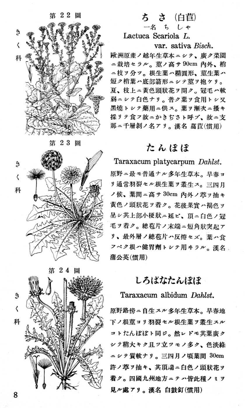 植物図鑑