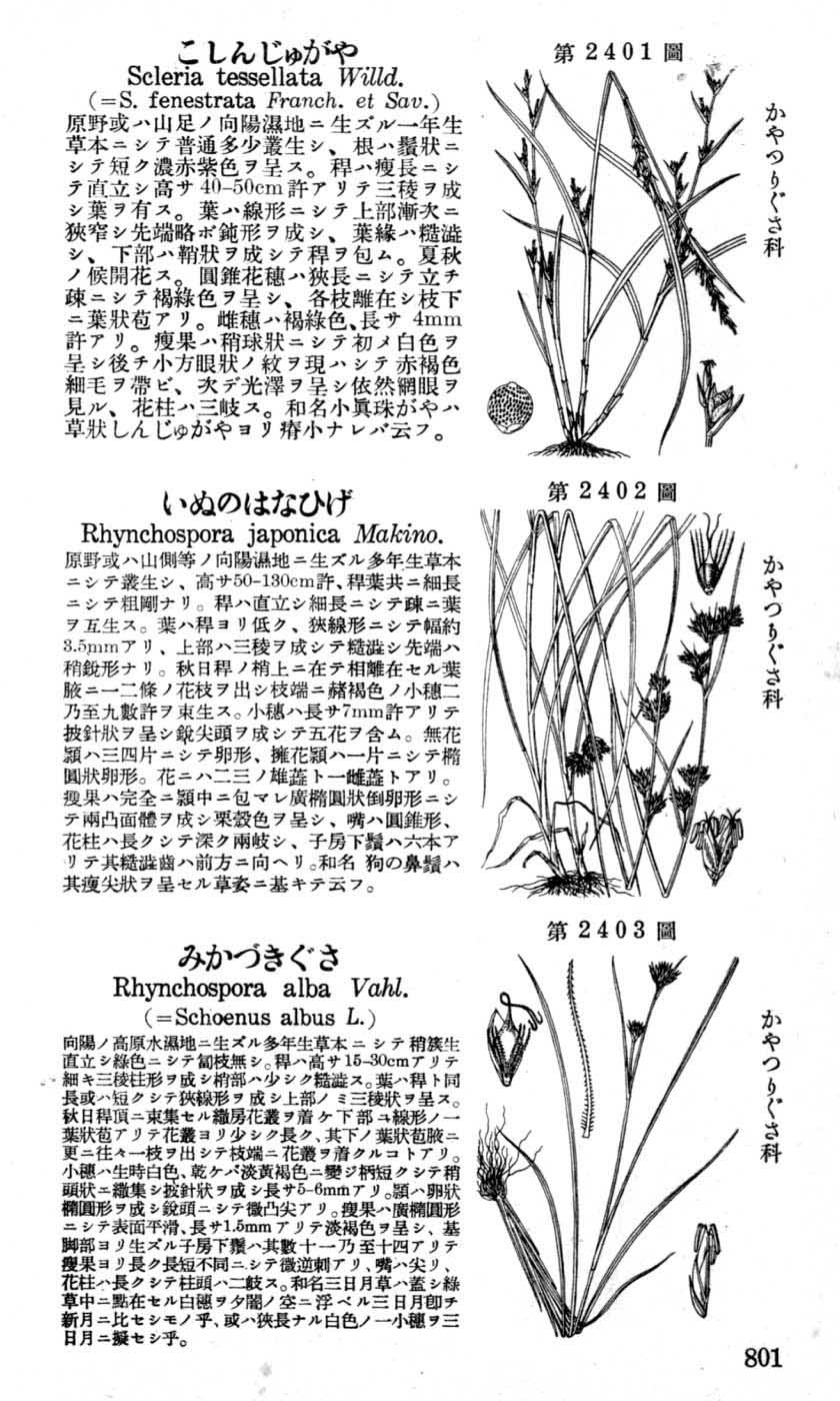 植物図鑑