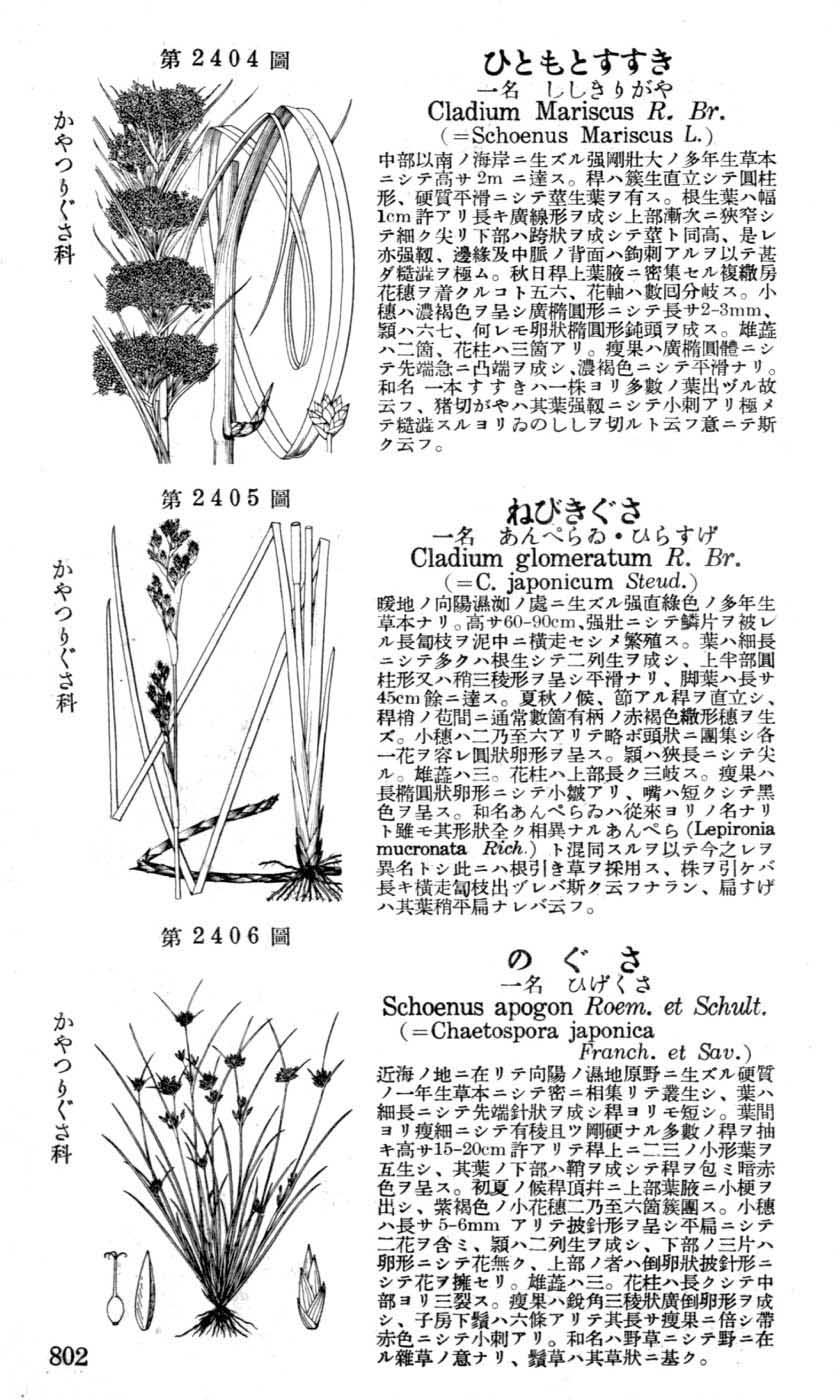 植物図鑑