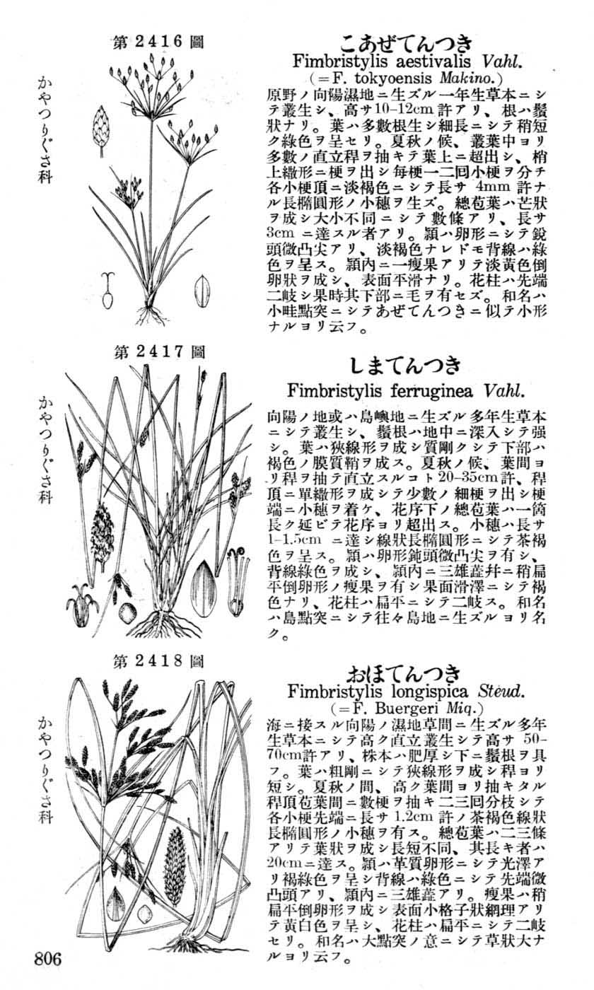 植物図鑑