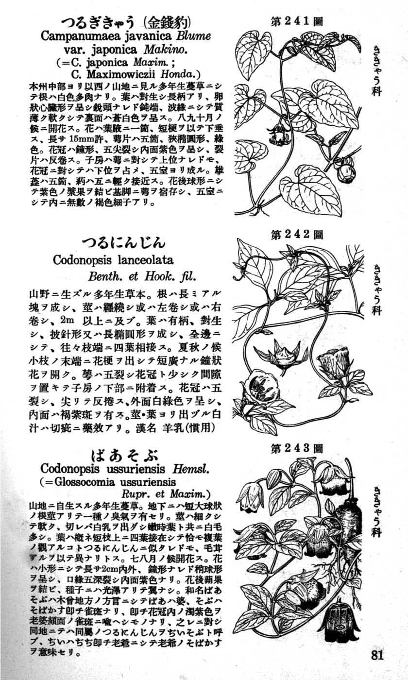 植物図鑑