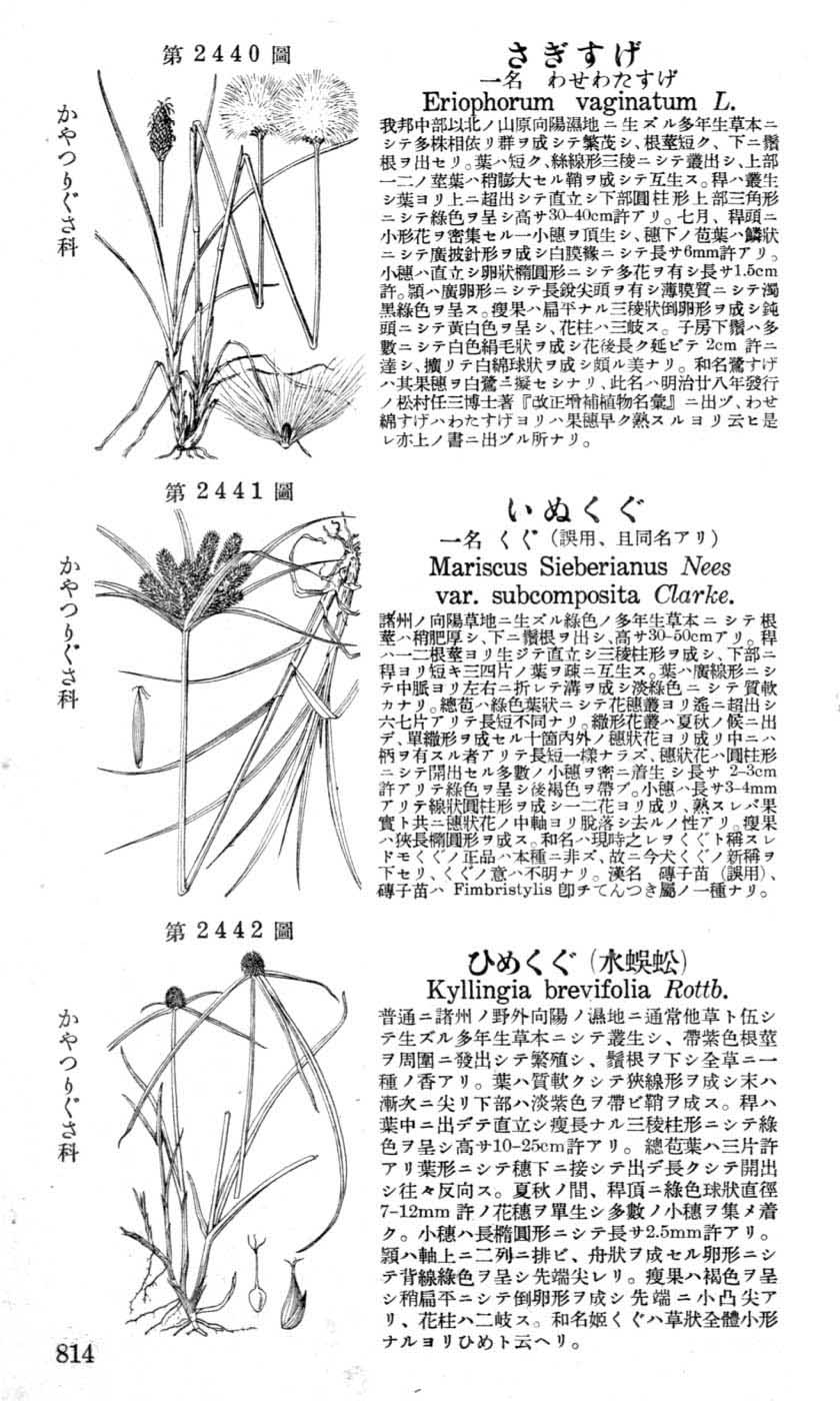 植物図鑑