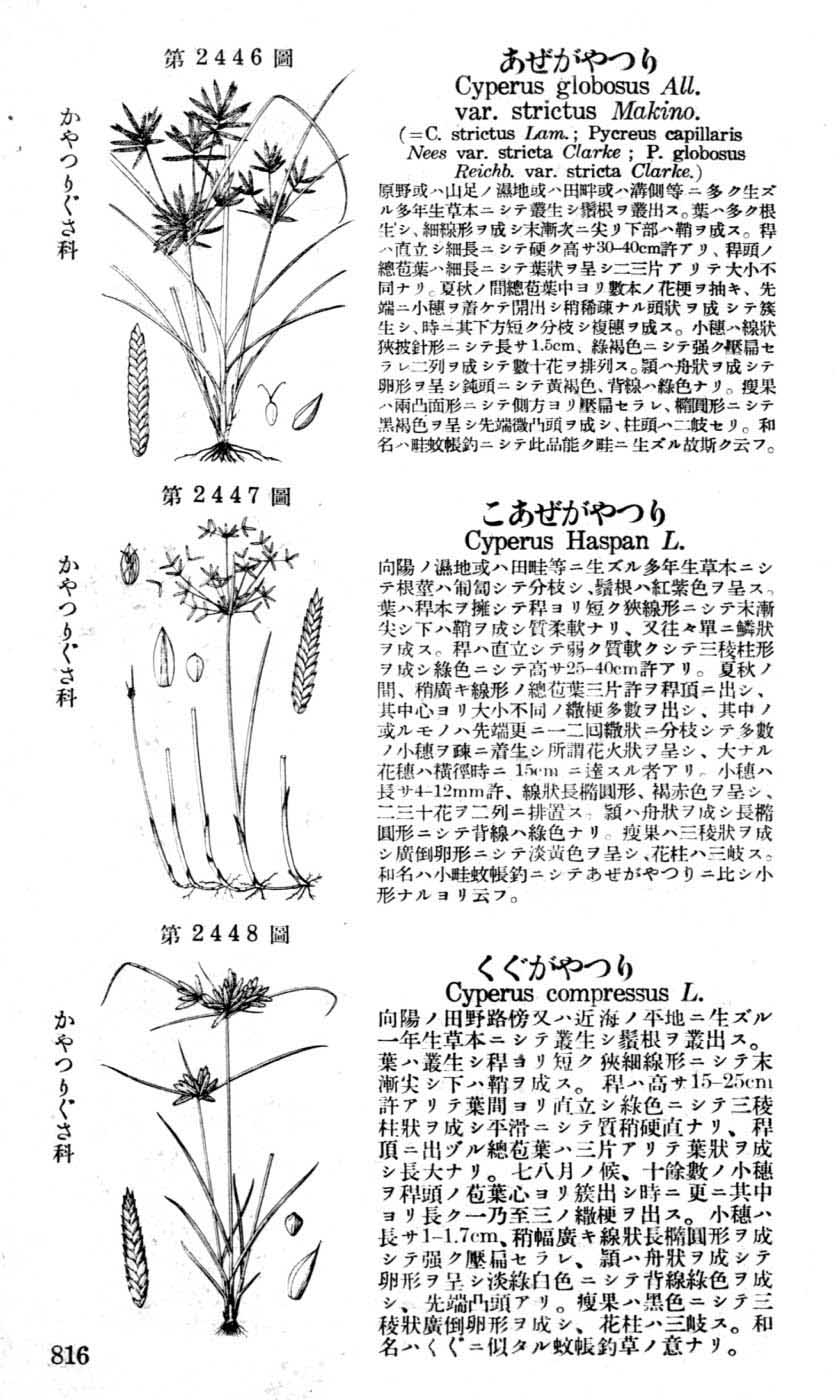 植物図鑑