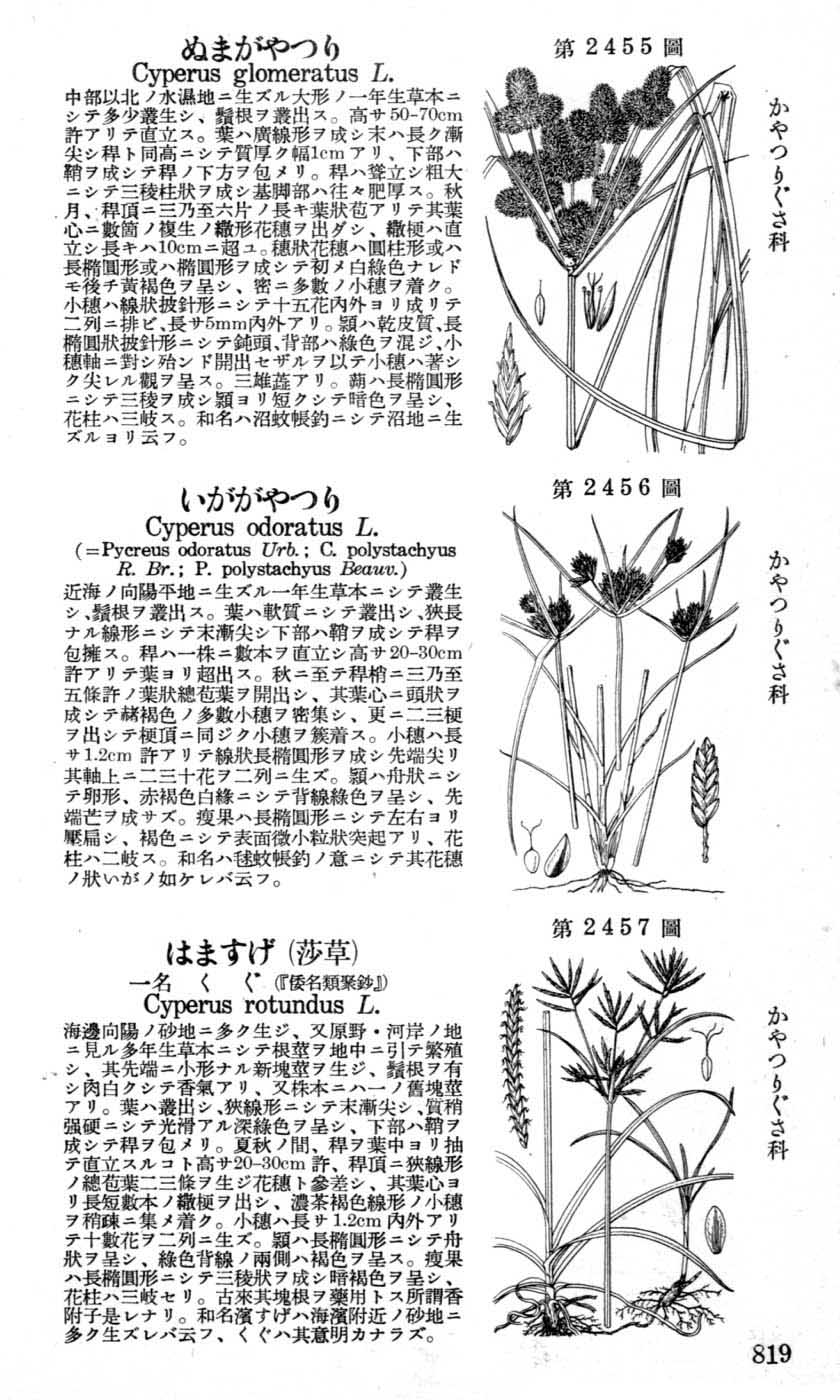 植物図鑑