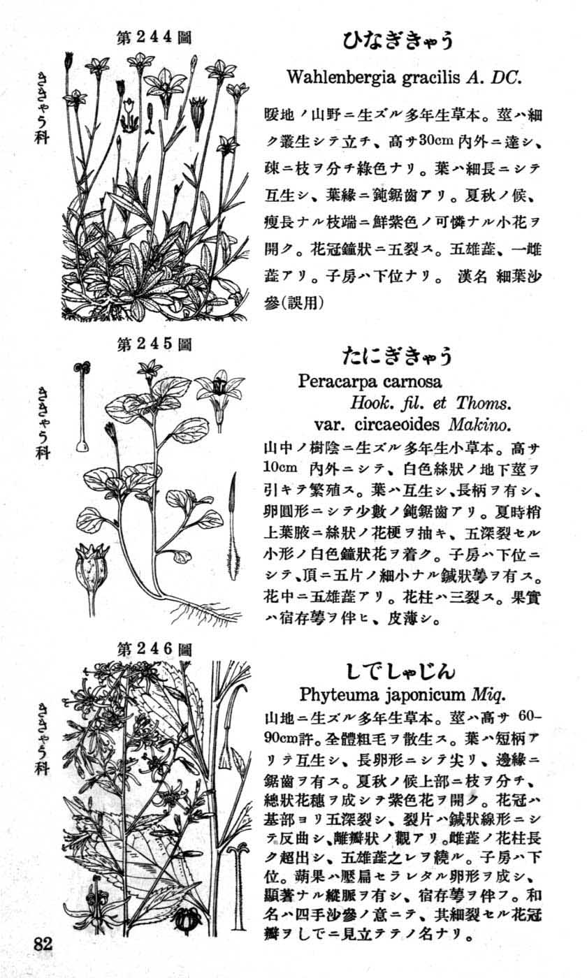 植物図鑑